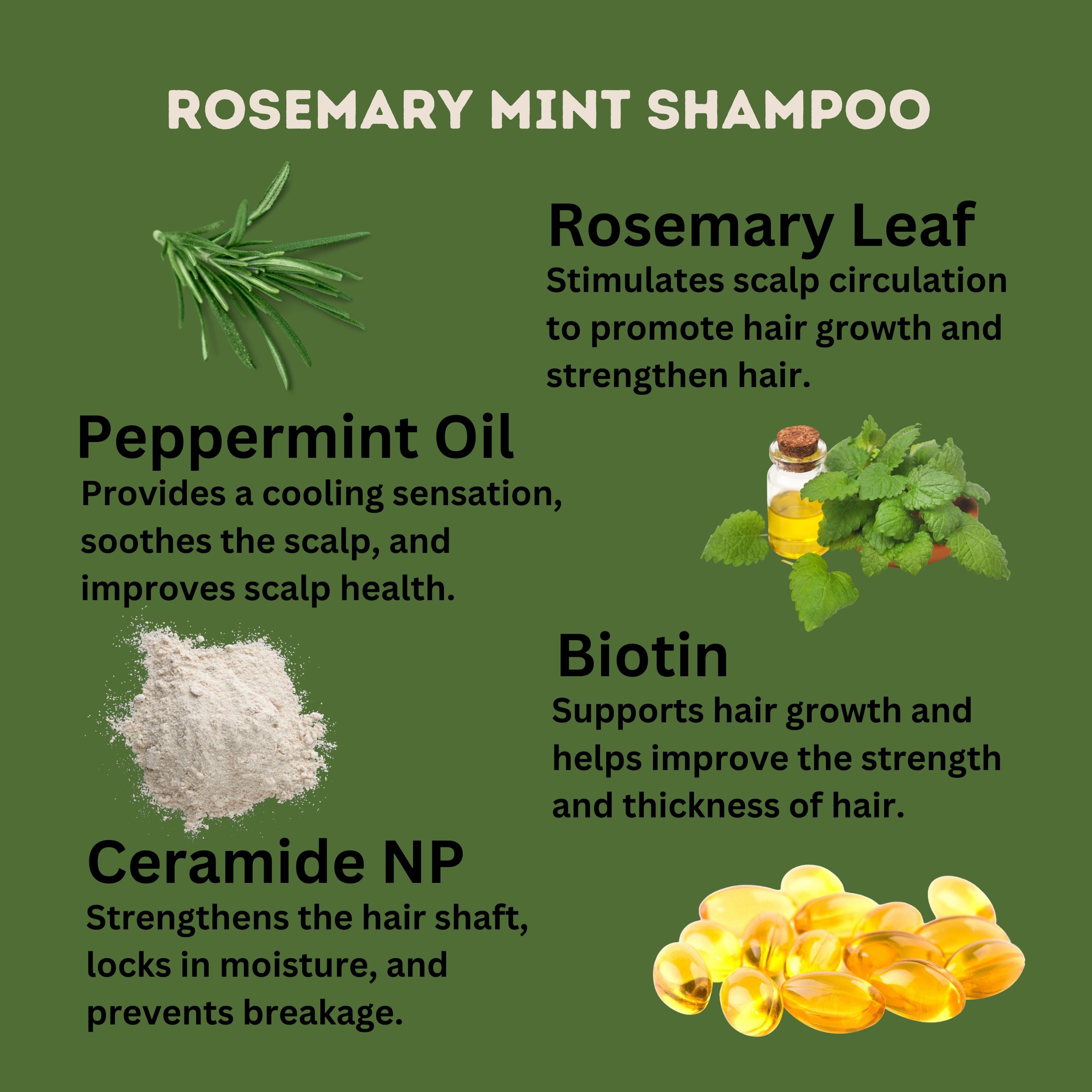 Rosemary + Mint Bundle